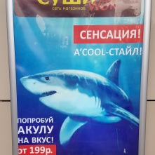 Great pun 2. Reads: "A cool style!" [The word "shark" in Russian is ah-KU-la]